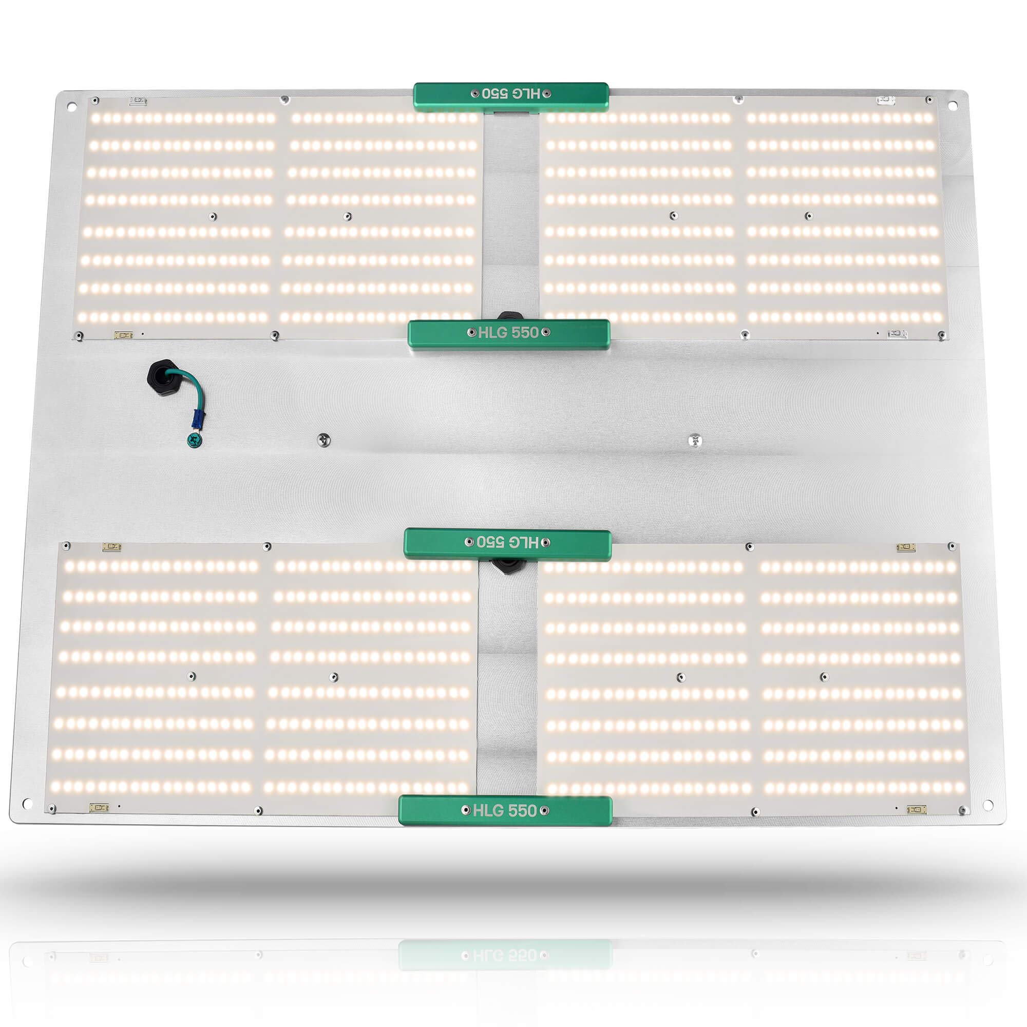 Amazon.com: Quantum Board